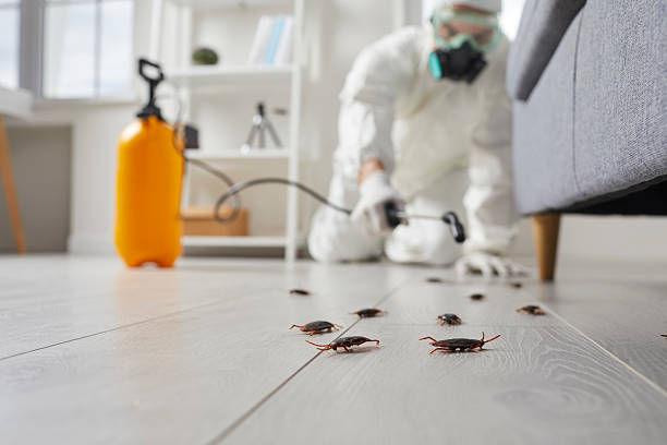 Commercial Kitchen Cockroach Control in Bithlo